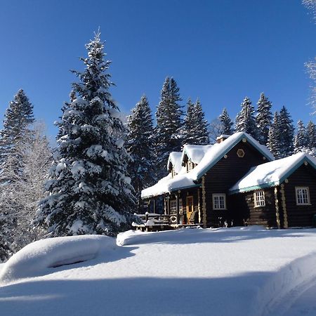 Domaine Le Bostonnais - Le Village En Bois Rond La Tuque Kültér fotó