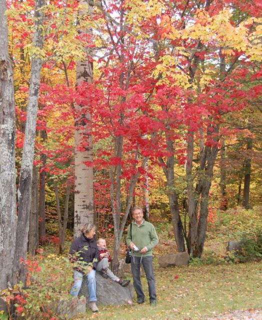 Domaine Le Bostonnais - Le Village En Bois Rond La Tuque Kültér fotó