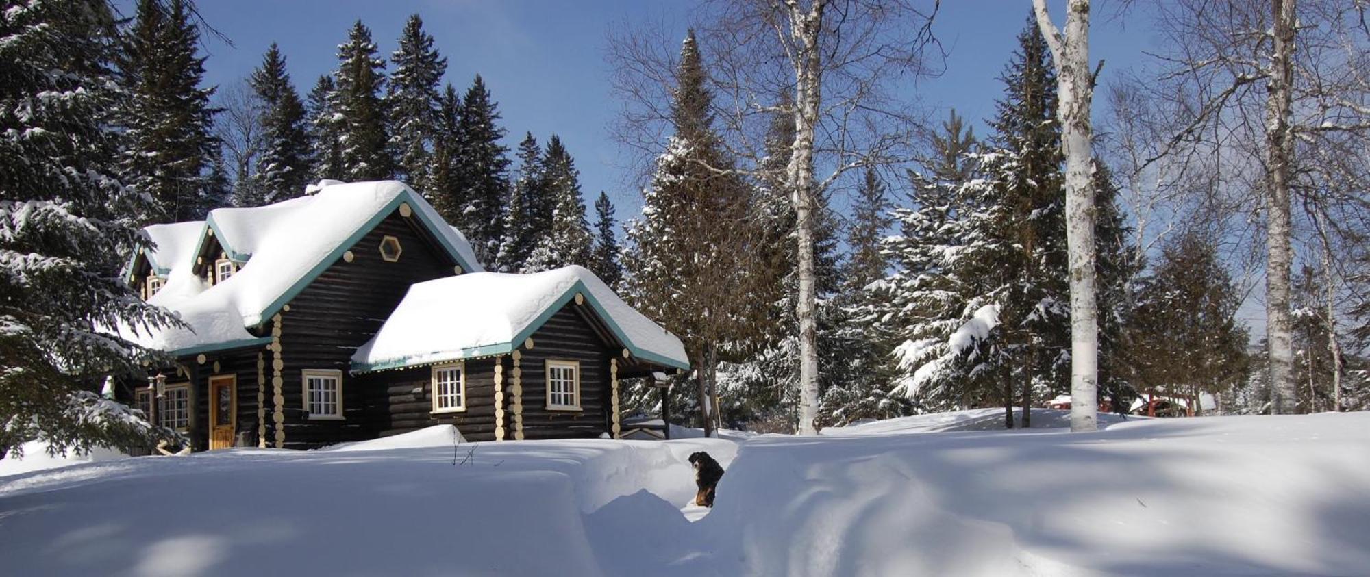Domaine Le Bostonnais - Le Village En Bois Rond La Tuque Kültér fotó
