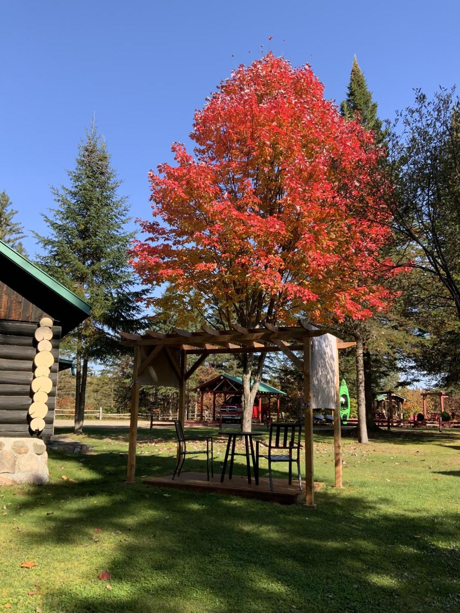 Domaine Le Bostonnais - Le Village En Bois Rond La Tuque Szoba fotó