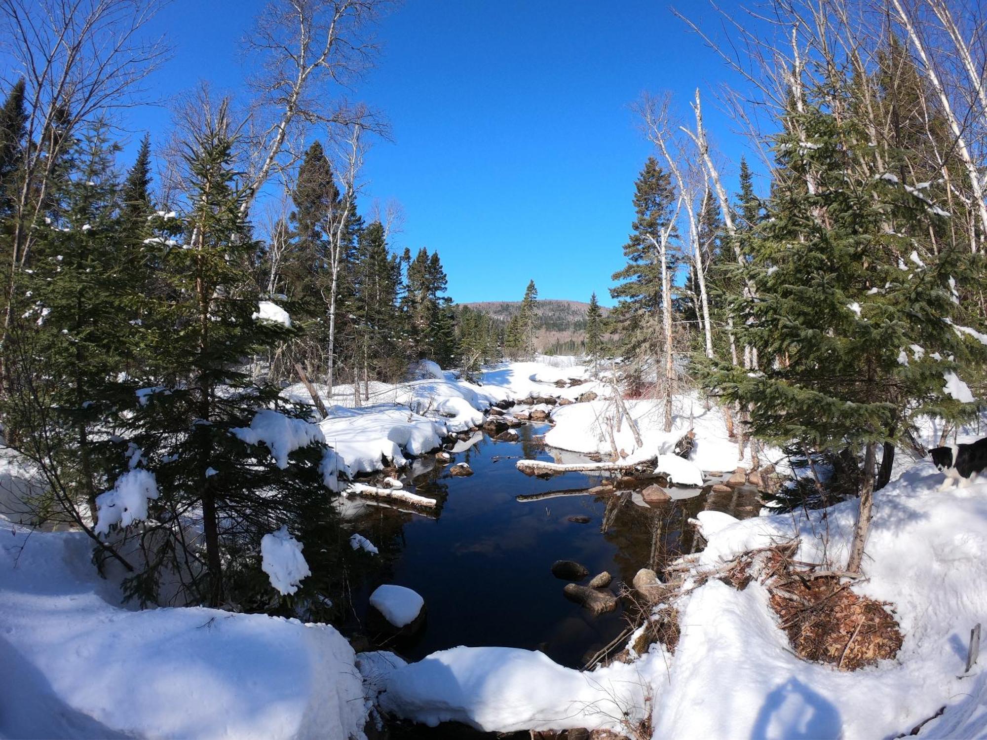 Domaine Le Bostonnais - Le Village En Bois Rond La Tuque Kültér fotó