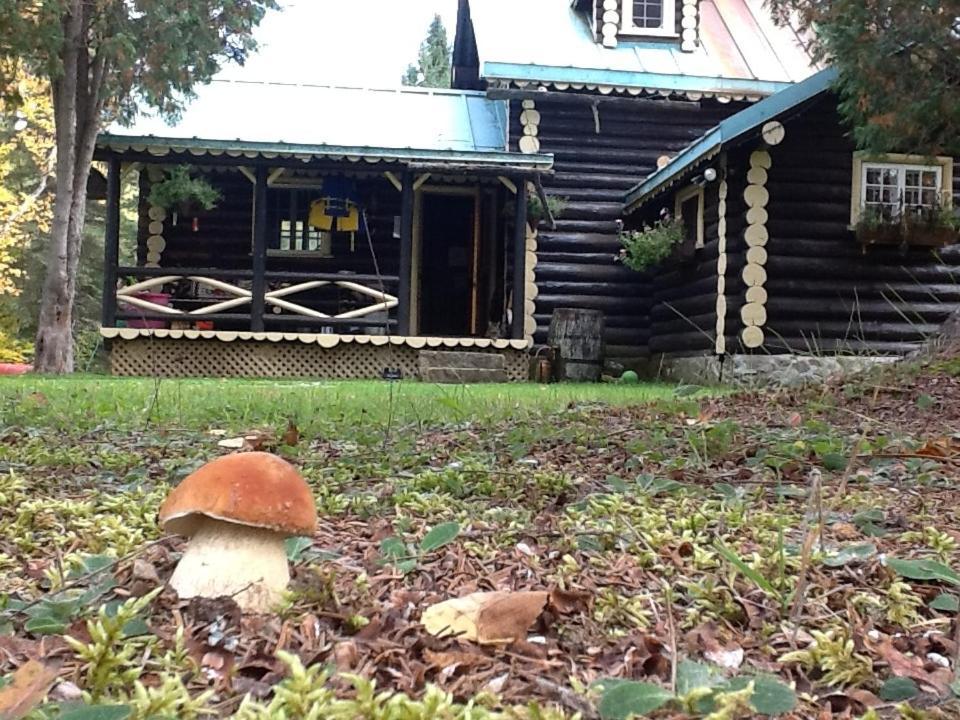 Domaine Le Bostonnais - Le Village En Bois Rond La Tuque Kültér fotó